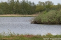 Het Goor-5077